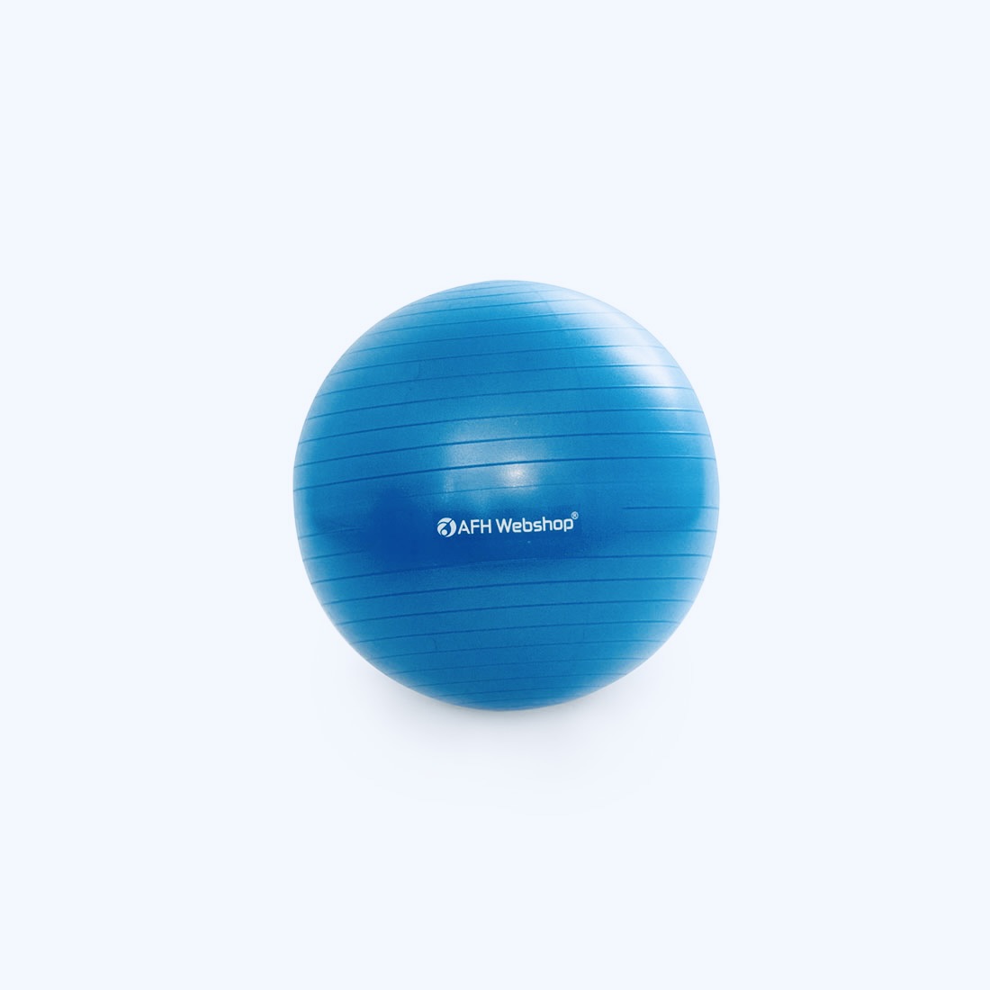 TheraPIE Gymnastikball inkl. Pumpe - dunkelblau - ca. Ø 65 cm